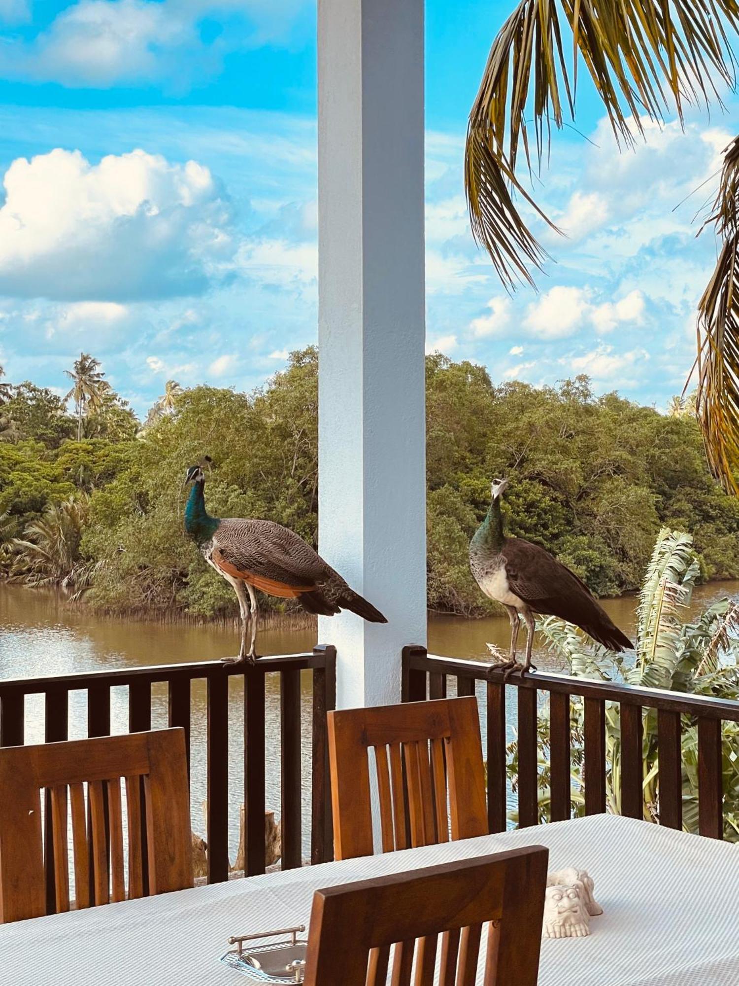 Riverwood Villa Weligama Eksteriør bilde